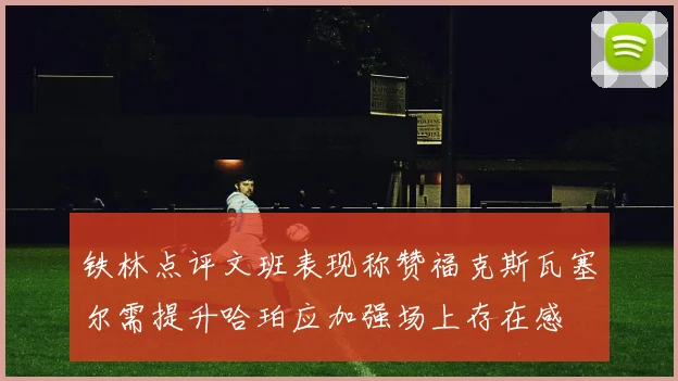 铁林点评文班表现称赞福克斯瓦塞尔需提升哈珀应加强场上存在感
