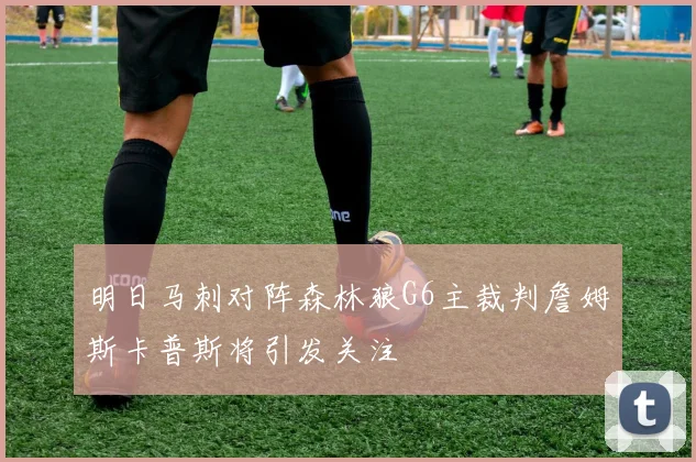 明日马刺对阵森林狼G6主裁判詹姆斯卡普斯将引发关注
