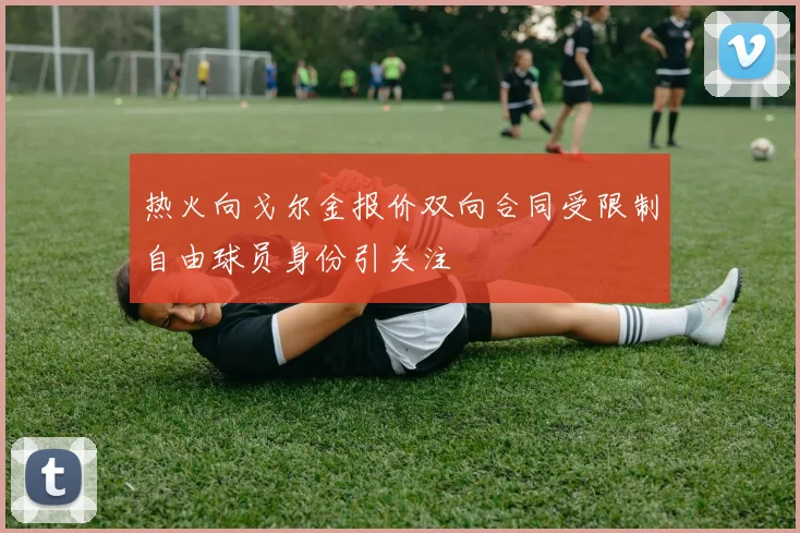 热火向戈尔金报价双向合同受限制自由球员身份引关注