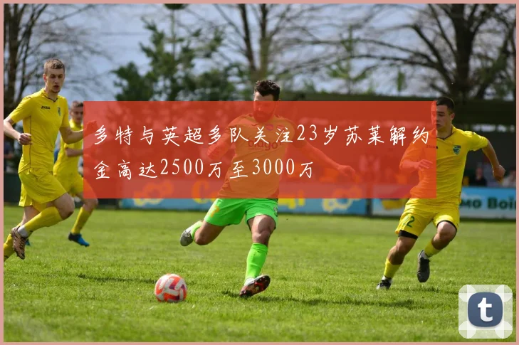 多特与英超多队关注23岁苏莱解约金高达2500万至3000万