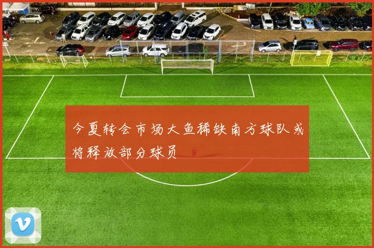 今夏转会市场大鱼稀缺南方球队或将释放部分球员