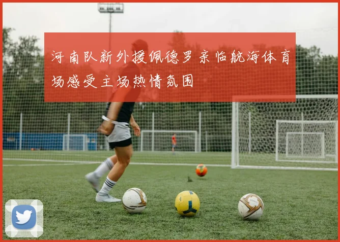 河南队新外援佩德罗亲临航海体育场感受主场热情氛围
