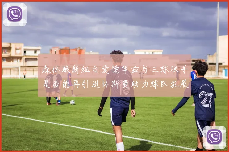 森林狼新组合爱德华兹与三球联手是否能再引进怀斯曼助力球队发展